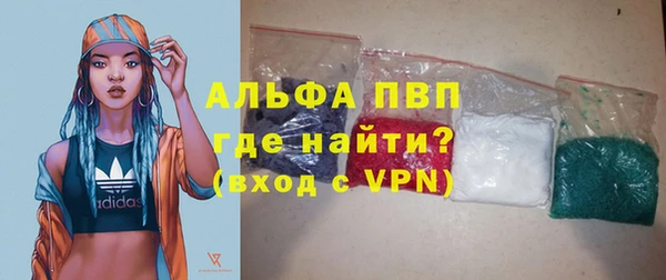 сатива Белокуриха