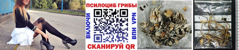 Псилоцибиновые грибы мицелий  МЕГА как войти  Нижняя Салда  наркота 